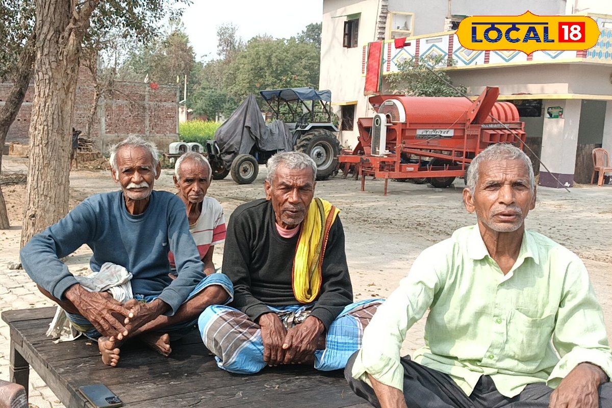 हम लोगों का दर्द कोई सुनने वाला नहीं.. नीलगाय ने नींद की हराम, 10 साल से परेशान, किसानों का क्यों फूटा गुस्सा