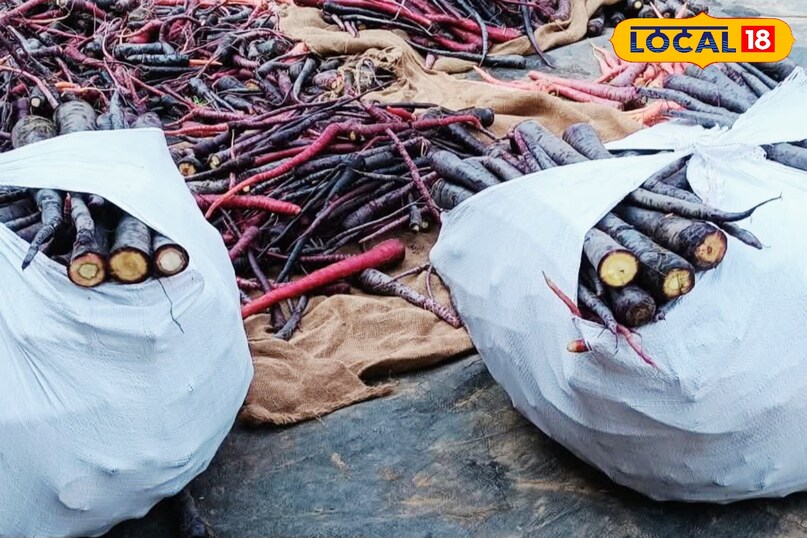 কালো গাজর