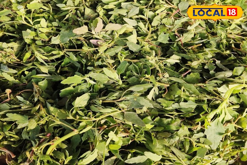 বাথুয়া