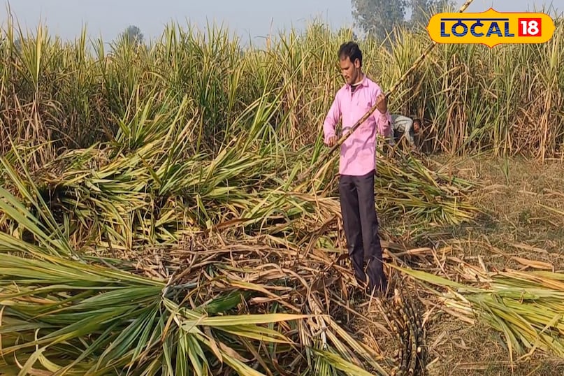 মোরাদাবাদের খবর, হিন্দি খবর, স্থানীয় খবর, আপ নিউজ, মোরাদাবাদের খবর, হিন্দি খবর, স্থানীয় খবর, ইউপি খবর।