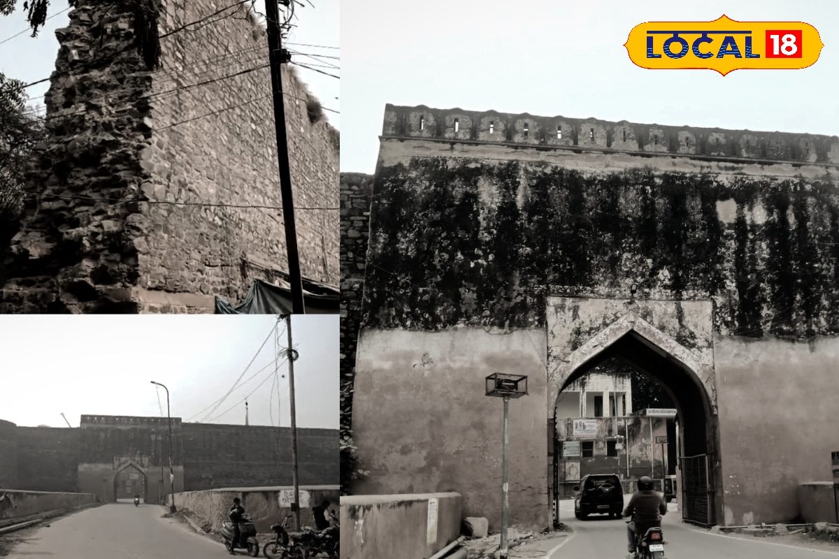 अजेय लोहागढ़ अब लाचार! उपेक्षा से जर्जर भरतपुर का शौर्य प्रतीक संरक्षण को तरसता किला देखें वीडियो