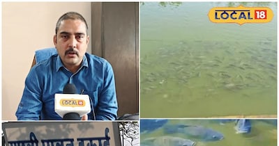 ठंड में मछलियों की सेहत पर असर