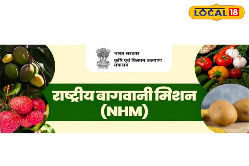 राष्ट्रीय बागवानी मिशन से मिला संबल