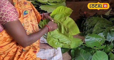 बड़े ही काम का होता है यह प्लेट