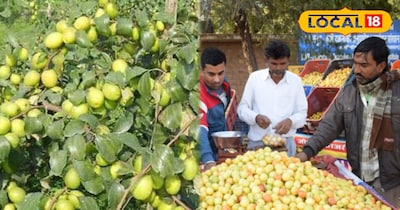 काजरी की रिसर्च से बदली पश्चिमी राजस्थान की खेती