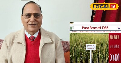 अशोक कुमार सिंह 