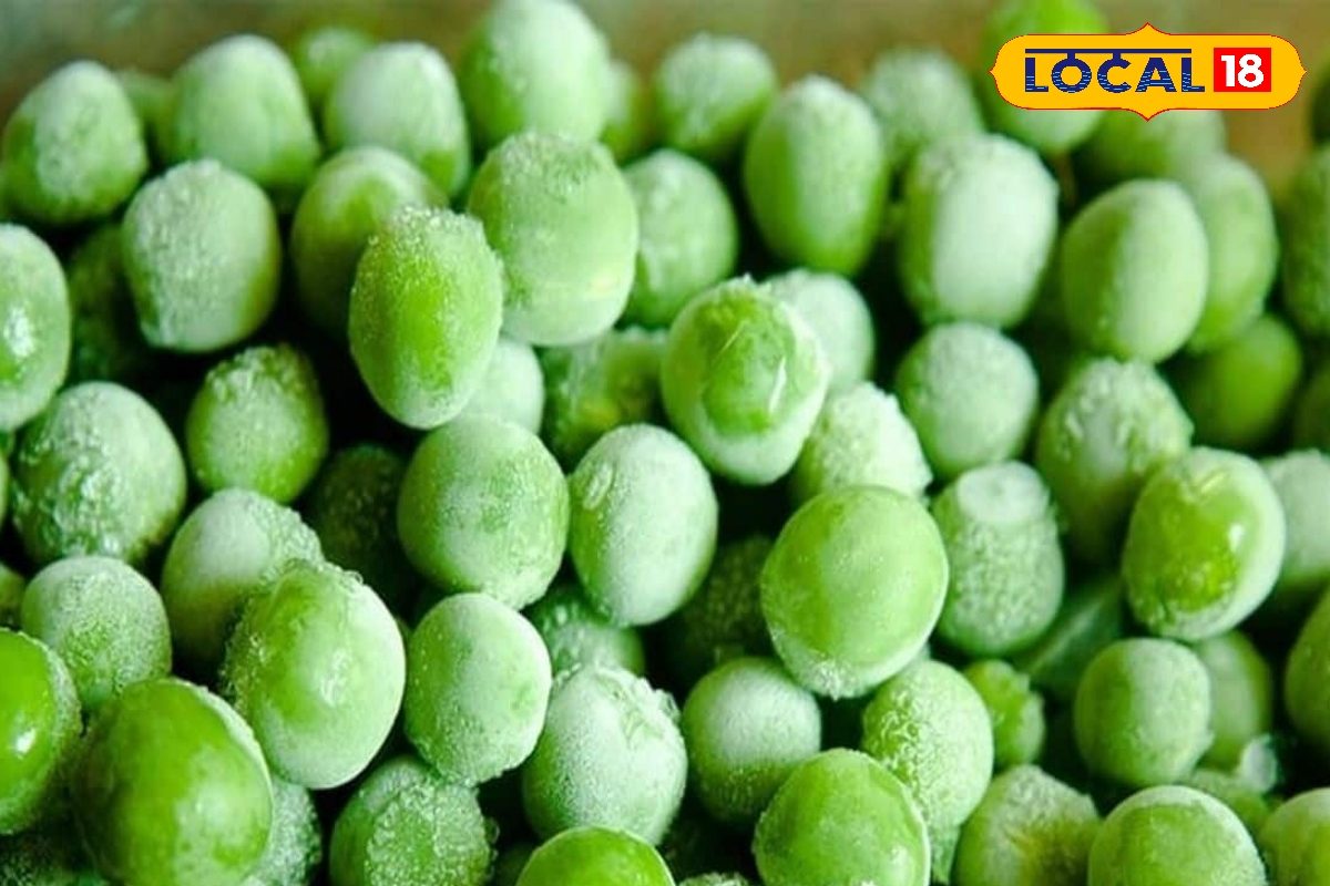 सर्दियों की ताज़ी मटर का स्वाद पूरे साल लें बस अपनाएं ये सही स्टोरेज ट्रिक