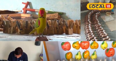 निर्मल खिलौने: 400 साल पुरानी वो कला जो लकड़ी को बना देती है सोना.