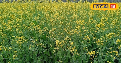 सरसों की खेती