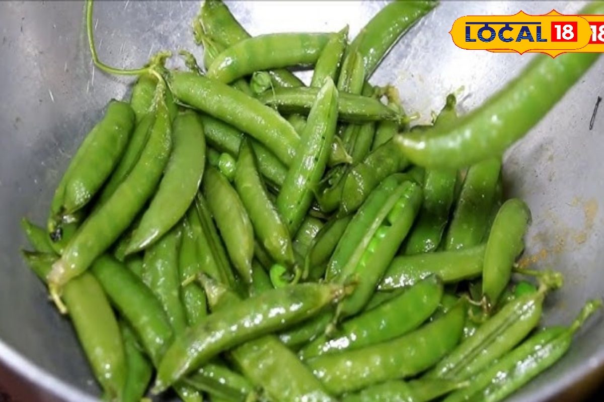 कूड़े में न फेंके मटर का छिलका, इसका सही उपयोग कर देगा मालामाल! किसानों के लिए उर्वरता और कम लागत का हथियार