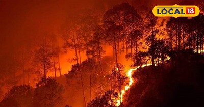 जंगल की आग