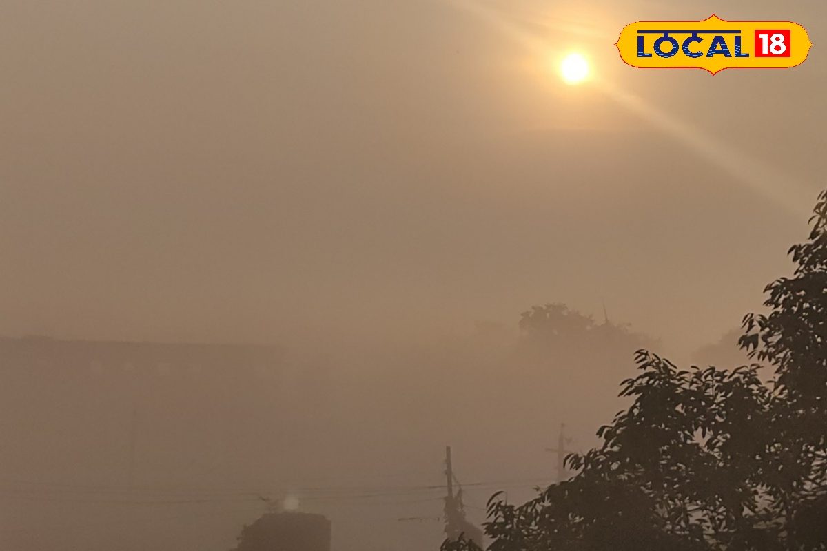 Bihar Weather: गयाजी में घना कोहरा, वाल्मिकीनगर में बारिश... अब इन जिलों में येलो अलर्ट! ऐसा रहेगा आज का मौसम