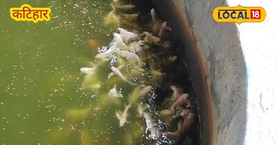 छोटे सपने से बड़ा उद्यम खड़ा करने वाले राजेश कुमार<br><br>