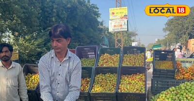 जोधपुर में सड़कों से मंडी तक छाए काजरी के बेर