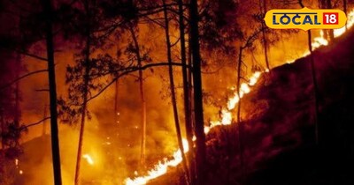 पर्यटकों की गलतियों से भी फैलती है जंगलों की आग