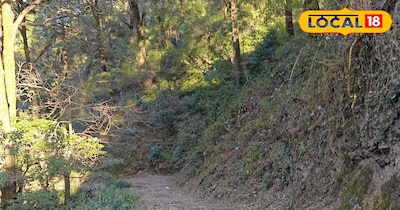 नैनीताल से कैंची धाम तक ट्रैक रूट तैयार किया जा रहा है