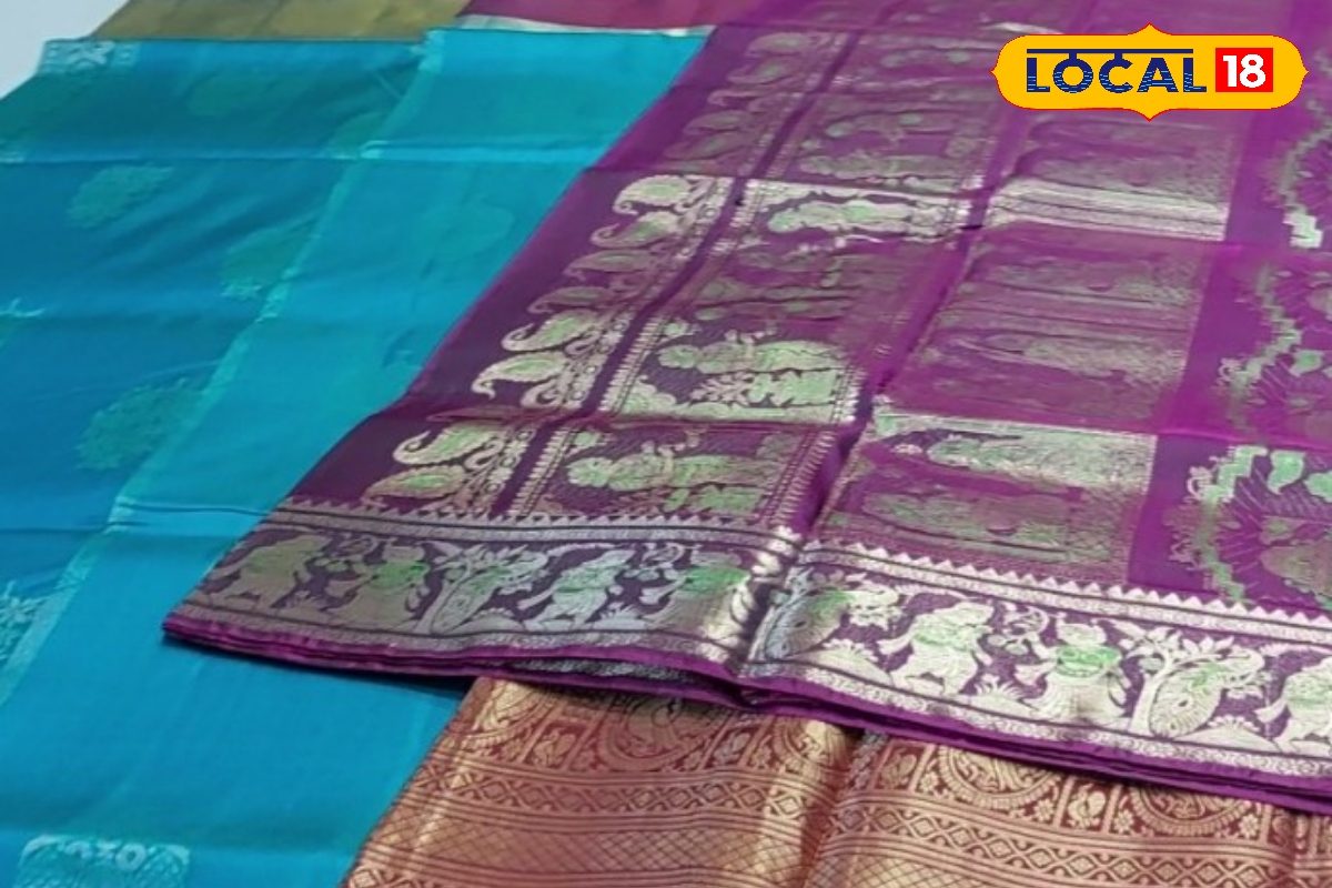 अब संवरेगा भागलपुर का हुनर! सिल्क, जर्दालु, कतरनी और मंजूषा बनेगा ग्लोबल ब्रांड, तैयार किया मेगा प्लान