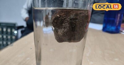 सामान्य पत्थरों के विपरीत यह पानी में डूबने की बजाय तैरता है