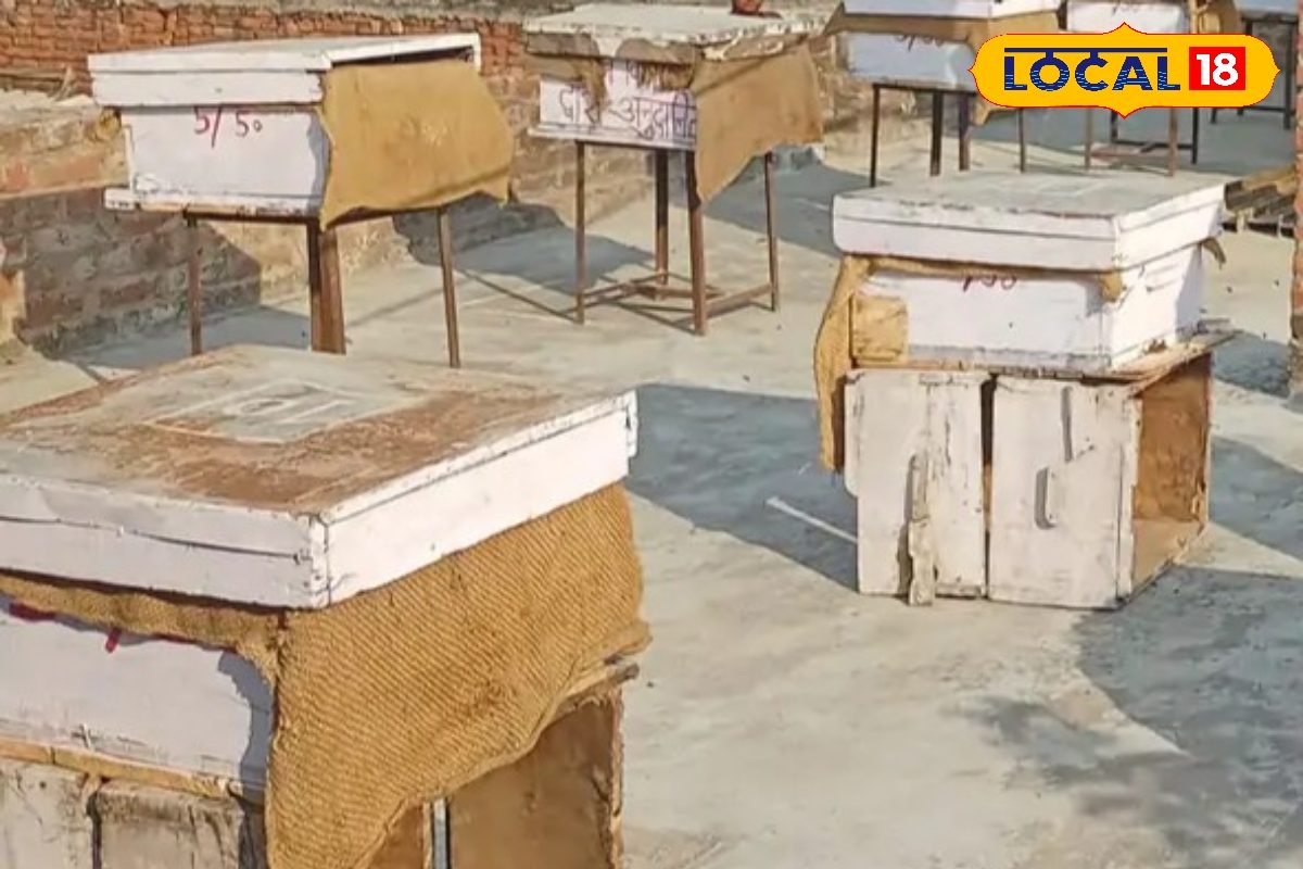 Business Idea: घर की छत पर ही शुरू हो सकता है यह बिजनेस, लागत कम, इनकम ज्यादा, सरकार सब्सिडी भी देती है!