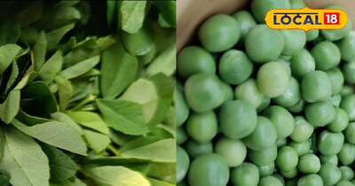 मेथी और मटर से बनाई जाती है एक स्वादिष्ट डिश 