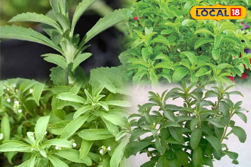 टिप एंड ट्रिक्स 