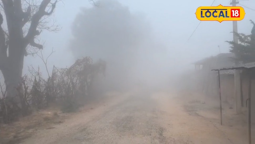 CG Weather LIVE: छत्तीसगढ़ में घने कोहरे का सितम जारी, उत्तर के जिलों में IMD का अलर्ट, अंबिकापुर सबसे ठंडा