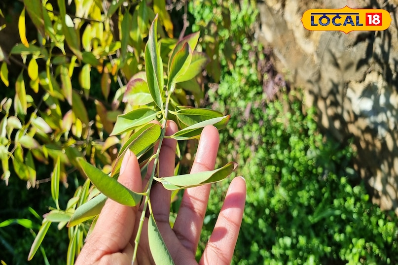 Beliefs related to the destruction of sins 