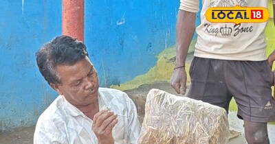 बालाघाट में मशरूम की खेती 