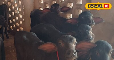 फाइल फोटो 