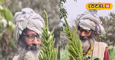 कमाल की खेती, रामदाना से किसान मालामाल