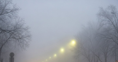 Haryana Shivers: 'Cold Day' Alert in 12 Districts, Narnaul Coldest Until Jan 10