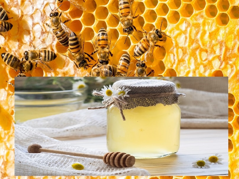 चेहरे की देखभाल के लिए दूध और शहद का इस्तेमाल बेहद फायदेमंद माना जाता है. एक चम्मच कच्चे दूध में आधा चम्मच शहद मिलाकर चेहरे पर 10 से 15 मिनट तक लगाएं और फिर हल्के गुनगुने पानी से धो लें. इससे त्वचा को पोषण मिलता है और चेहरे पर प्राकृतिक चमक आती है. वहीं, एलोवेरा जेल भी सर्दियों में त्वचा के लिए रामबाण साबित होता है. इसे रोजाना रात में सोने से पहले चेहरे पर लगाने से त्वचा मुलायम बनी रहती है.