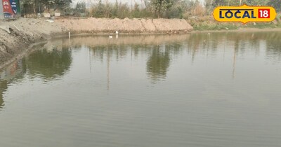 पप्पू यादव के मुताबिक पोखर में प्यासी, राहु, कतला सहित कई मछली रहती है. वो एक पोखर में 15 से 16 हजार मछली डालते हैं. पप्पू यादव यह भी कहा कि मेरा मछली पालन करने का आईडिया लोगों को खूब पसंद आ रहा है. लोग अब छोटे-छोटे पोखर खुदवा कर मछली पालन कर रहे हैं, जिससे किसानों की अच्छी कमाई हो रहा है. 