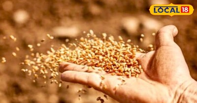 उन्होंने कहा कि जिस प्रकार किसी भी शिशु के जन्म होने पर टीका दिया जाता है. ठीक वैसे किसी भी फसल की खेती से पहले बीज उपचार जरूर करें.उन्होंने कहा कि गेहूं के फसल में बीज उपचार के लिए साफ नामक दवा जो की फंगीसाइड होता है.