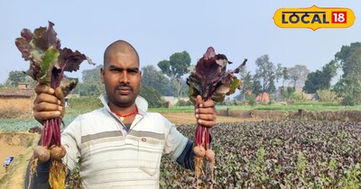 खास बातचीत में किसान राजेश ने बताया कि वह किसान परिवार से आते हैं और उन्हें खेती की प्रेरणा अपने बाप-दादाओं से ही मिली है. बदलते समय और बाजार की मांग को देखते हुए उन्होंने पारंपरिक फसलों से हटकर कुछ नया करने का फैसला किया. 