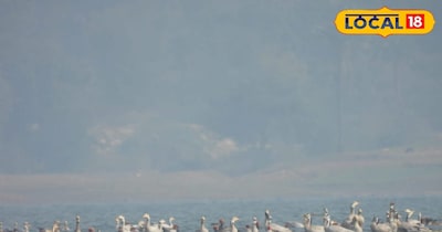 अगर आप पर्यावरण के बीच वक्त गुजारना चाहते हैं, तो यहां अपने पूरे परिवार के साथ पहुंच सकते हैं. इस स्थल को ईको-टूरिज्म के रूप में विकसित किया गया है. यहां बांस से बने वॉच टावर, बांस से बनी कुर्सियां और व्यू प्वाइंट बनाए गए हैं. इतना ही नहीं, इस जगह में प्राकृतिक सुंदरता को पहले की ही तरह सहेजकर रखा गया है.