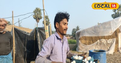 हेवन प्रसाद यादव बताते हैं कि सभी खर्च निकालने के बाद उन्हें हर महीने लगभग 2 लाख रुपये की कमाई हो जाती है इतना ही नहीं, उनका यह मशरूम फार्म आज गांव के 8 से 10 लोगों को स्थायी रोजगार भी दे रहा है. मजदूर के रूप में शुरुआत करने वाले हेवन आज खुद रोजगार देने वाले उद्यमी बन चुके हैं.