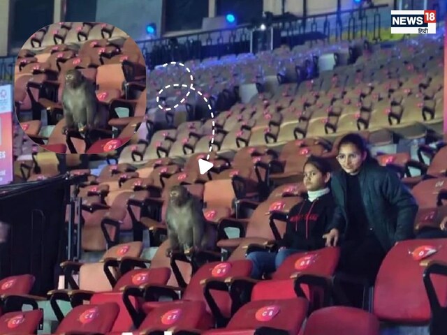 बंदर देखने पहुंचा इंडिया ओपन बैडमिंटन मैच, दर्शकों के बीच बैठा कैसे बैठा मंकी
