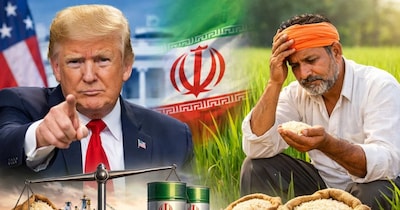 डोनाल्ड ट्रंप के नए ईरान टैरिफ से भारतीय बासमती निर्यात पर संकट.(Image:AI)