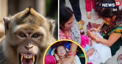 Monkey Snatches Baby, Throws into Well; Diaper and Nurse Save Infant's Life in Chhattisgarh