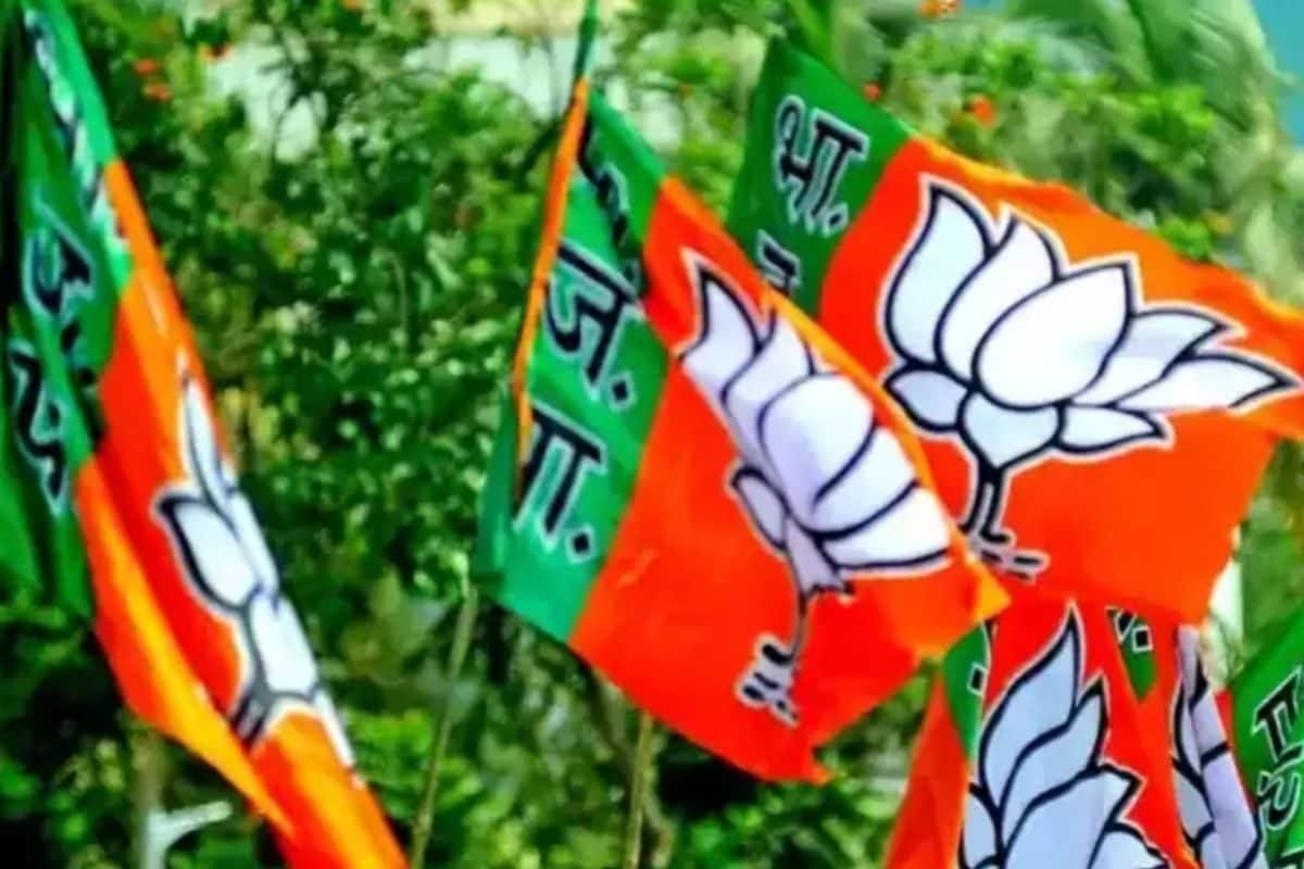 बीजेपी को मिलने वाला है नया राष्ट्रीय अध्यक्ष लंबे अर्से बाद सामने आई चुनाव की तारीख जानिए कौन हैं सबसे बड़े दावेदार