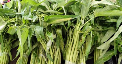 कलमी साग खाने के फायदे.