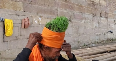 माघ मेले में हठयोगी का अद्भुत संकल्प: जटाओं में उगाया जौ, पर्यावरण संरक्षण का संदेश