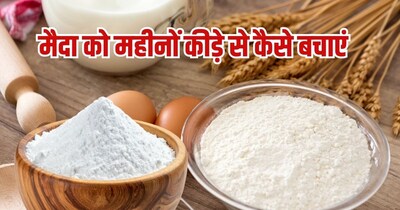 मैदा को 6 महीने तक सुरक्षित रखने का तरीका. 