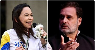 राशिद अल्वी ने कहा कि राहुल गांधी को भी नोबेल प्राइज मिल सकता है.