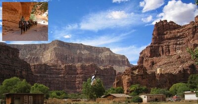 अमेरिका का अनोखा सुपाई गांव: खच्चर लाते हैं डाक, प्राचीन जनजाति फलती-फूलती है.