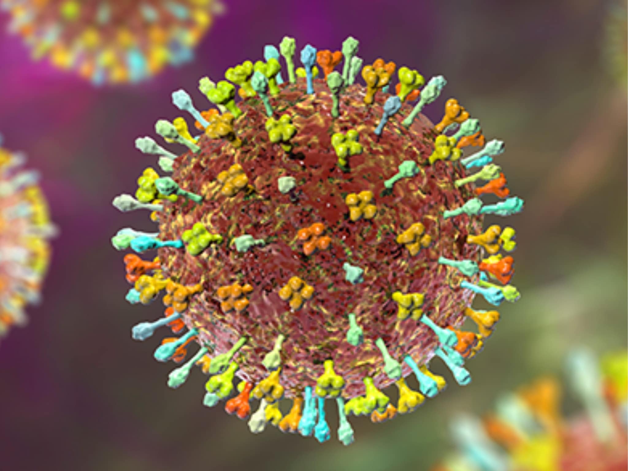 बंगाल में मौत की दस्तक केंद्र ने ममता सरकार को भेजी वार्निंग 2 लोगों में मिला निपाह का वायरस