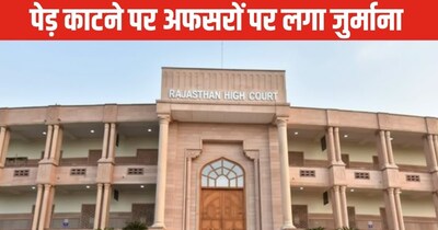 Rajasthan High Court Fines Officials ₹1 Lakh for Illegal Tree Felling