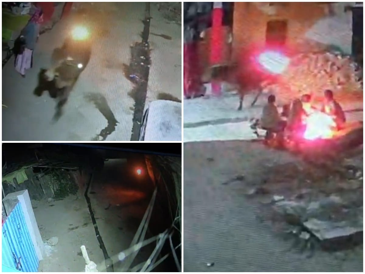 सांड पर पेट्रोल डालकर लगाई आग, CCTV में कैद हुई दरिंदगी सांड पर पेट्रोल डालकर लगाई आग, CCTV में कैद हुई दरिंदगी