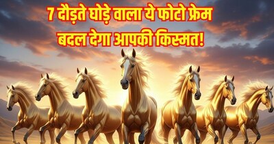 घर में पाइराइट से बने 7 घोड़े वाला फोटो फ्रेम रखने के फायदे